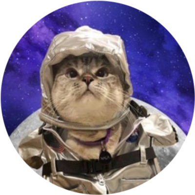 logo Moon Cat