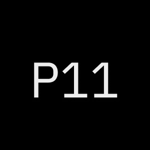 logo Project 11