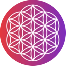 logo CSR