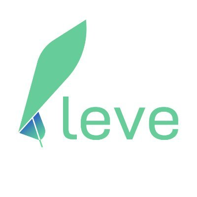 logo Leve Invest