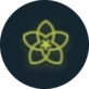 logo Spring