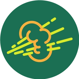logo FartStrategy