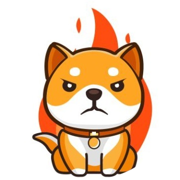 logo BurnDoge