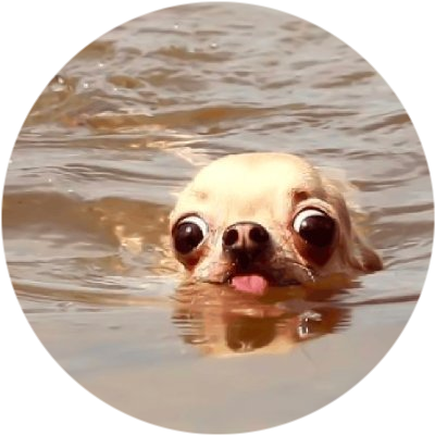 logo doginwotah