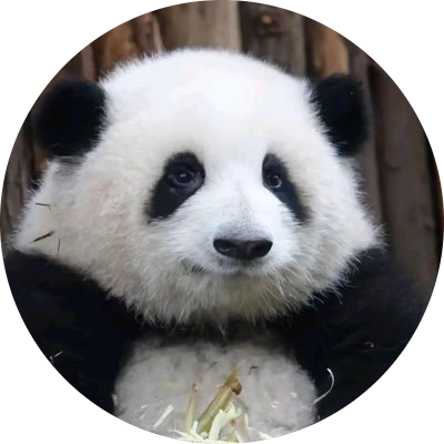 logo HUA HUA | 花花