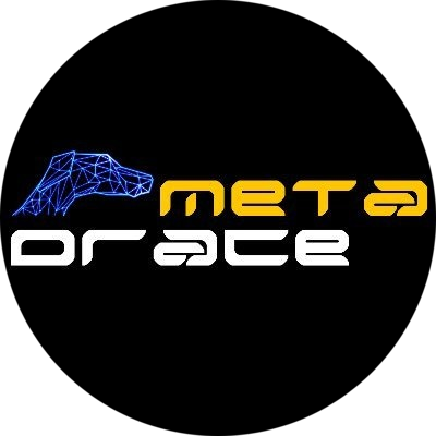 logo MetaDrace