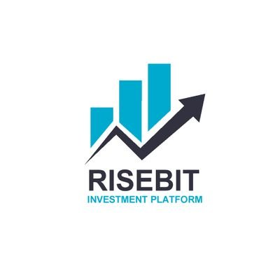 logo Risecoin