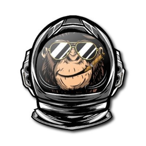 logo Space Monkey