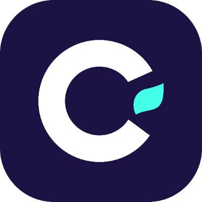 logo Cedar Money