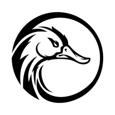 logo BlackSwan Nodes