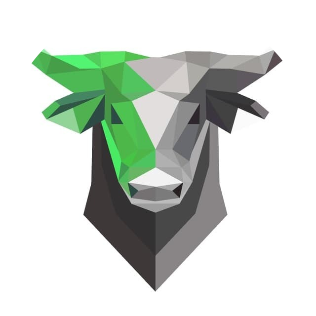 logo SafeBull