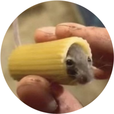 logo Mouse In Pasta