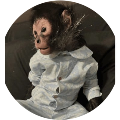 logo Monkey Taken By Police