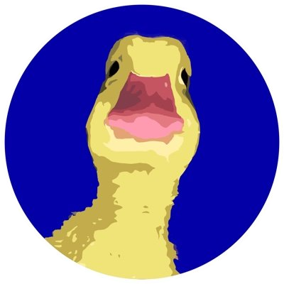 logo Duckereum