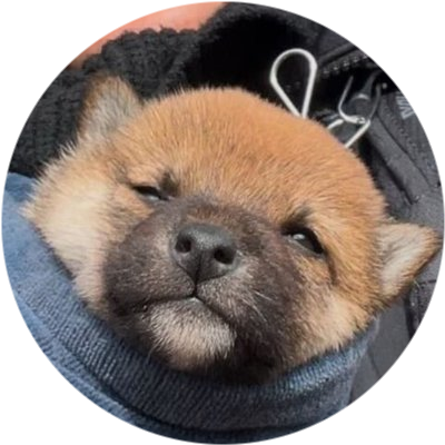 logo San Chan
