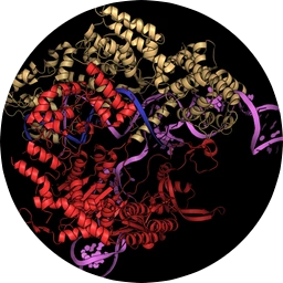 logo Cas9