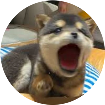 logo POPDOG