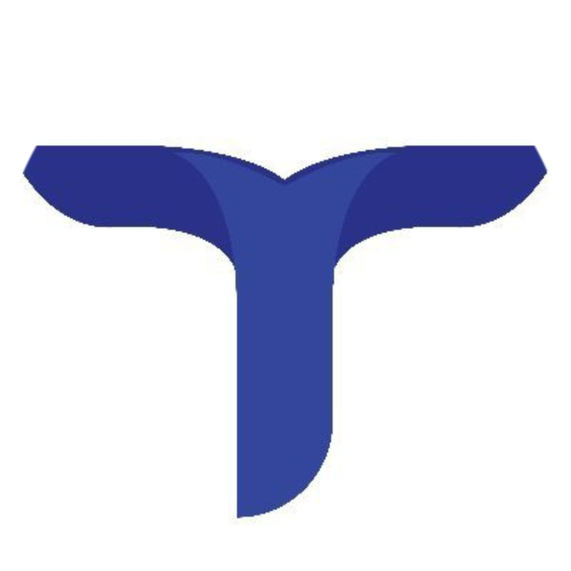 logo Tianyu Finance