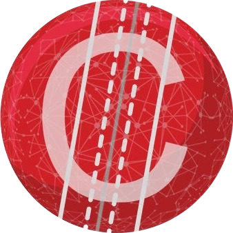 logo Cricket Foundation