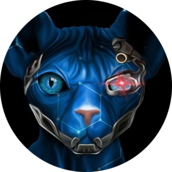 logo SolanyxToken