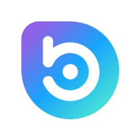 logo BORA