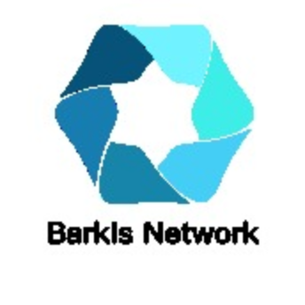 logo Barkis Network