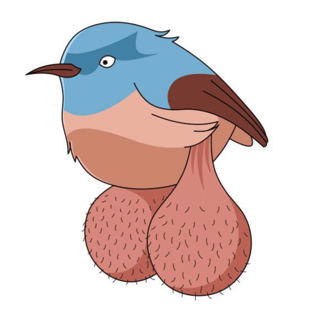 logo BIG BALLS BIRDS