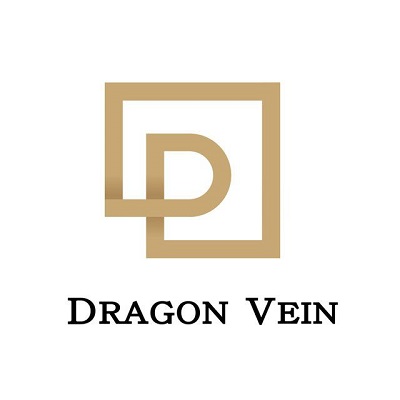 logo DragonVein