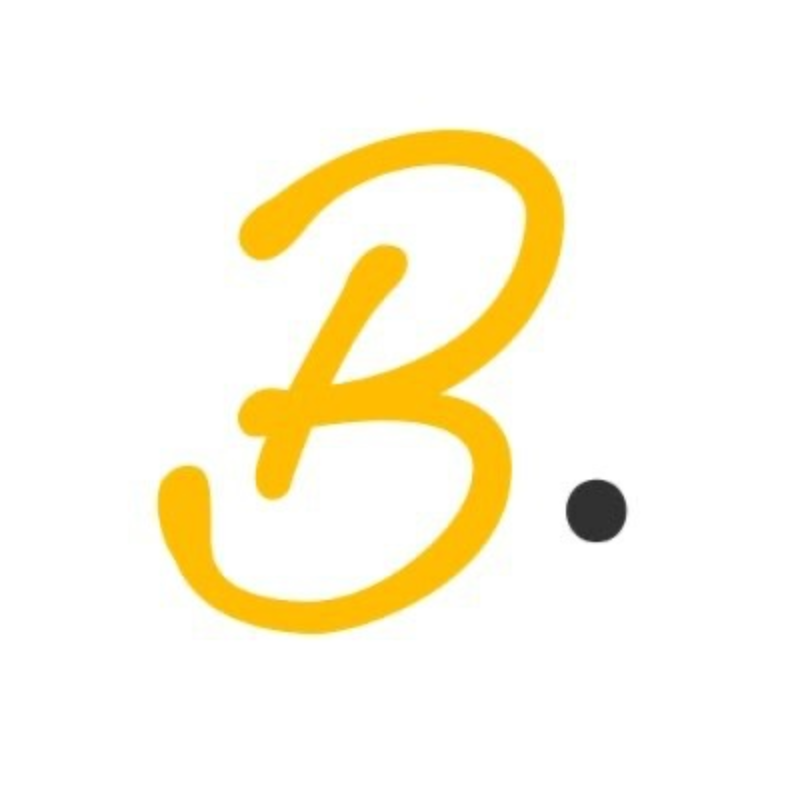 logo BinStarter (old)