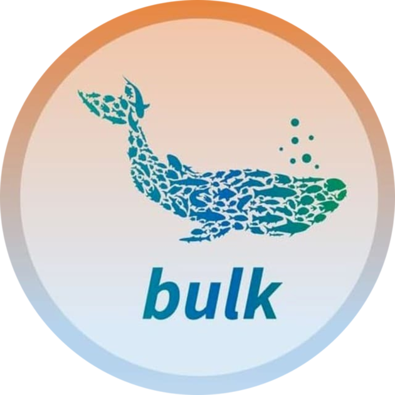 logo Bulk Network