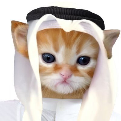 logo Habibi