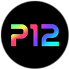 logo P12 Project Twelve