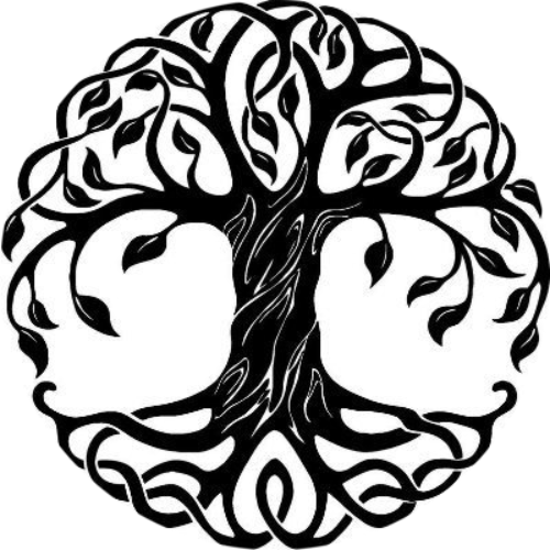 logo Immutable Network