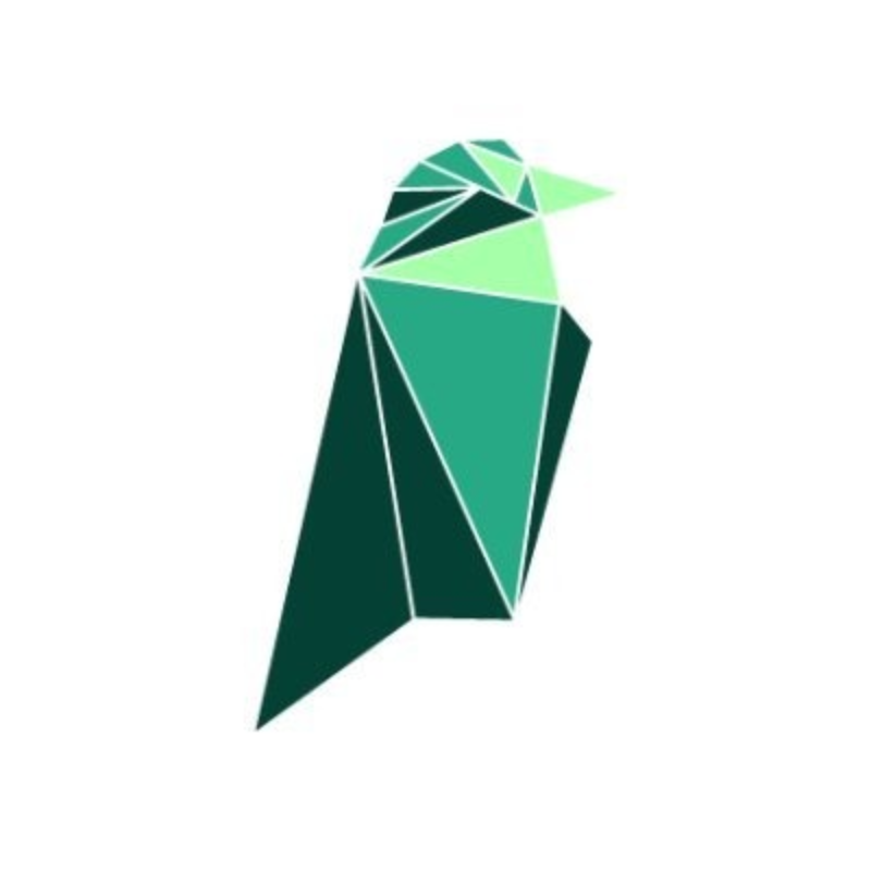 logo Ravencoin Classic
