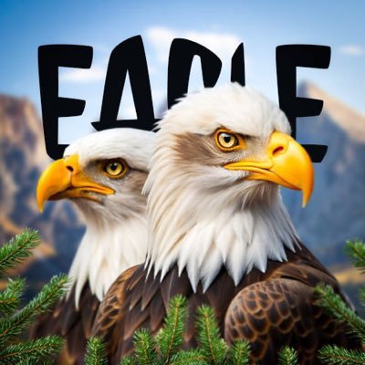 logo Big Bear Bald Eagle