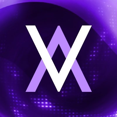 logo Velvet Capital