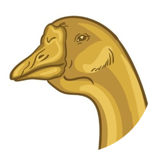logo Goose Finance