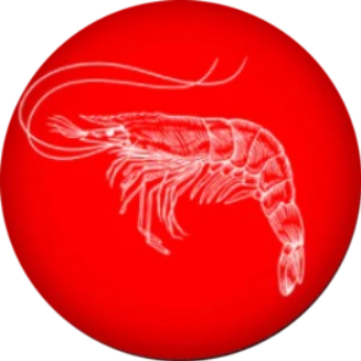 logo WhaleStreet Shrimp Token