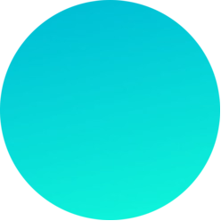 logo Solidly (v1)