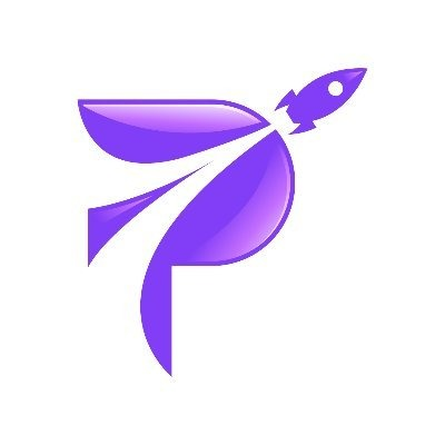 logo Plunge