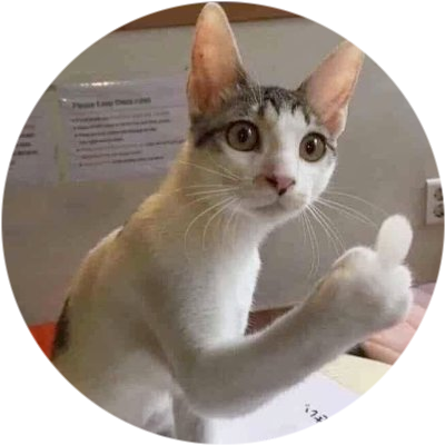 logo FlipCat