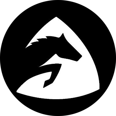 logo Paycer Protocol