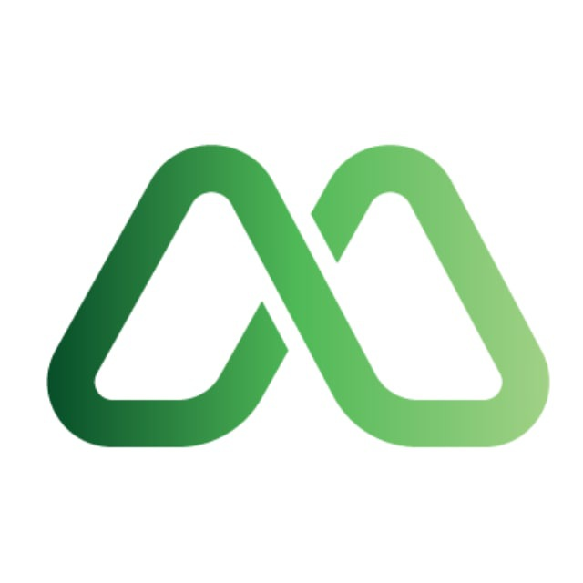 logo MetaBridge
