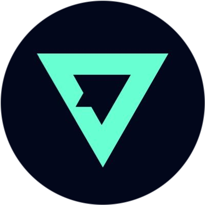 logo VLaunch