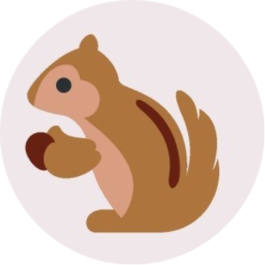 logo Squirrel Finance