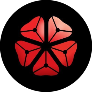 logo Fusotao Protocol