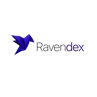logo Ravendex