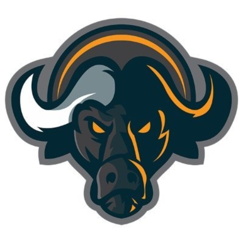logo Buffalo Swap