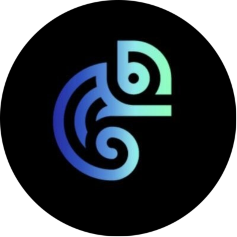 logo Camouflage.eth