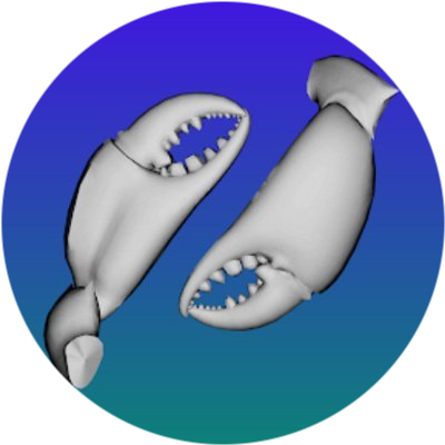 logo TrueFreeze